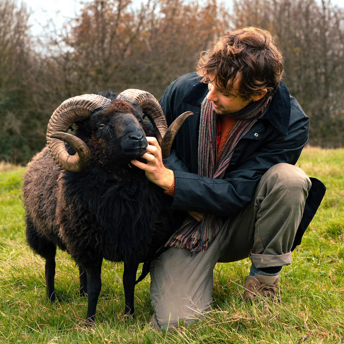 Julius Roberts' Hebridean Hogget - Half Hogget Box – The Aurox Meat ...